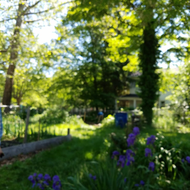 Ivy Street Community Garden