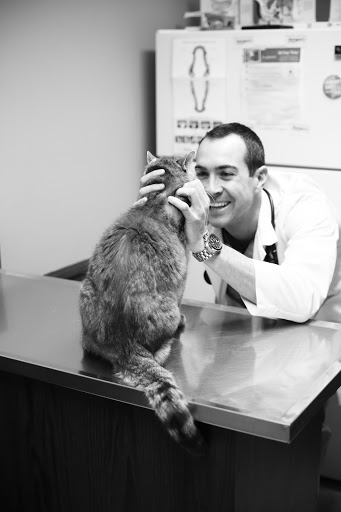 Associated Veterinary Clinic image