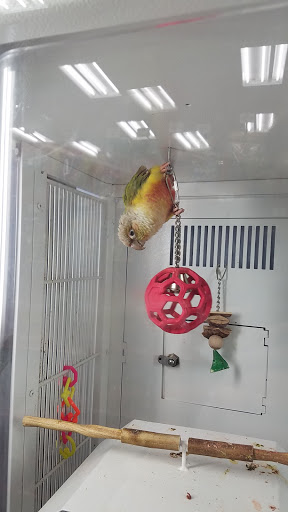 Pet Supply Store «Petco Animal Supplies», reviews and photos, 2365 NW Kings Blvd, Corvallis, OR 97330, USA