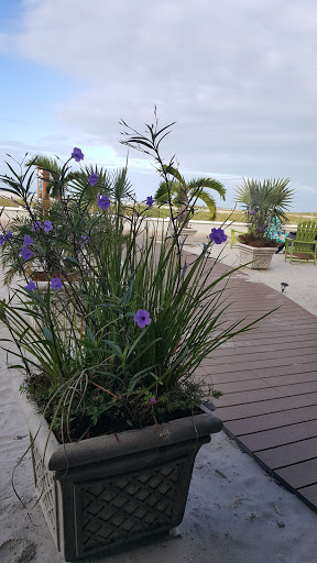 Beach Resort «Bilmar Beach Resort», reviews and photos, 10650 Gulf Blvd, Treasure Island, FL 33706, USA