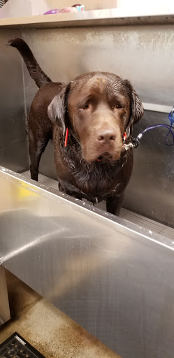 Pet Supply Store «Lemos Feed & Pet Supply», reviews and photos, 1320 Main St, Morro Bay, CA 93442, USA