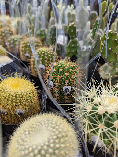 Home Improvement Store «The Home Depot», reviews and photos, 6200 W Park Blvd, Plano, TX 75093, USA