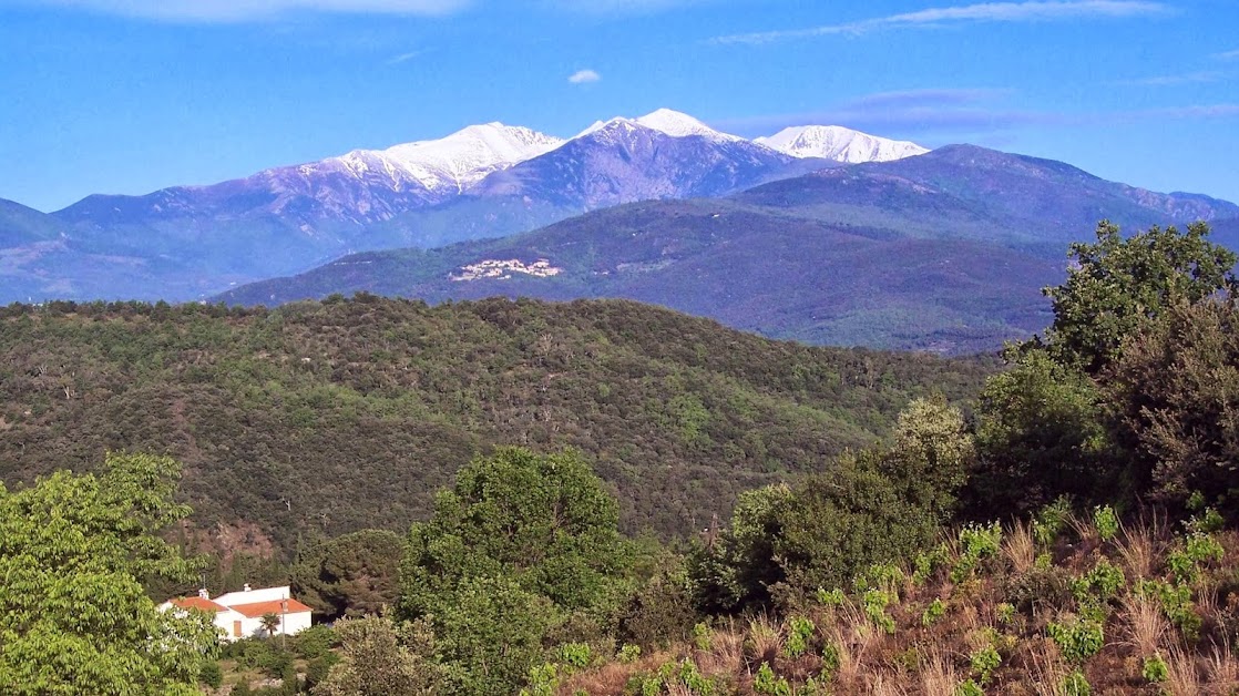 Stay In Ceret à Céret (Pyrénées-Orientales 66)