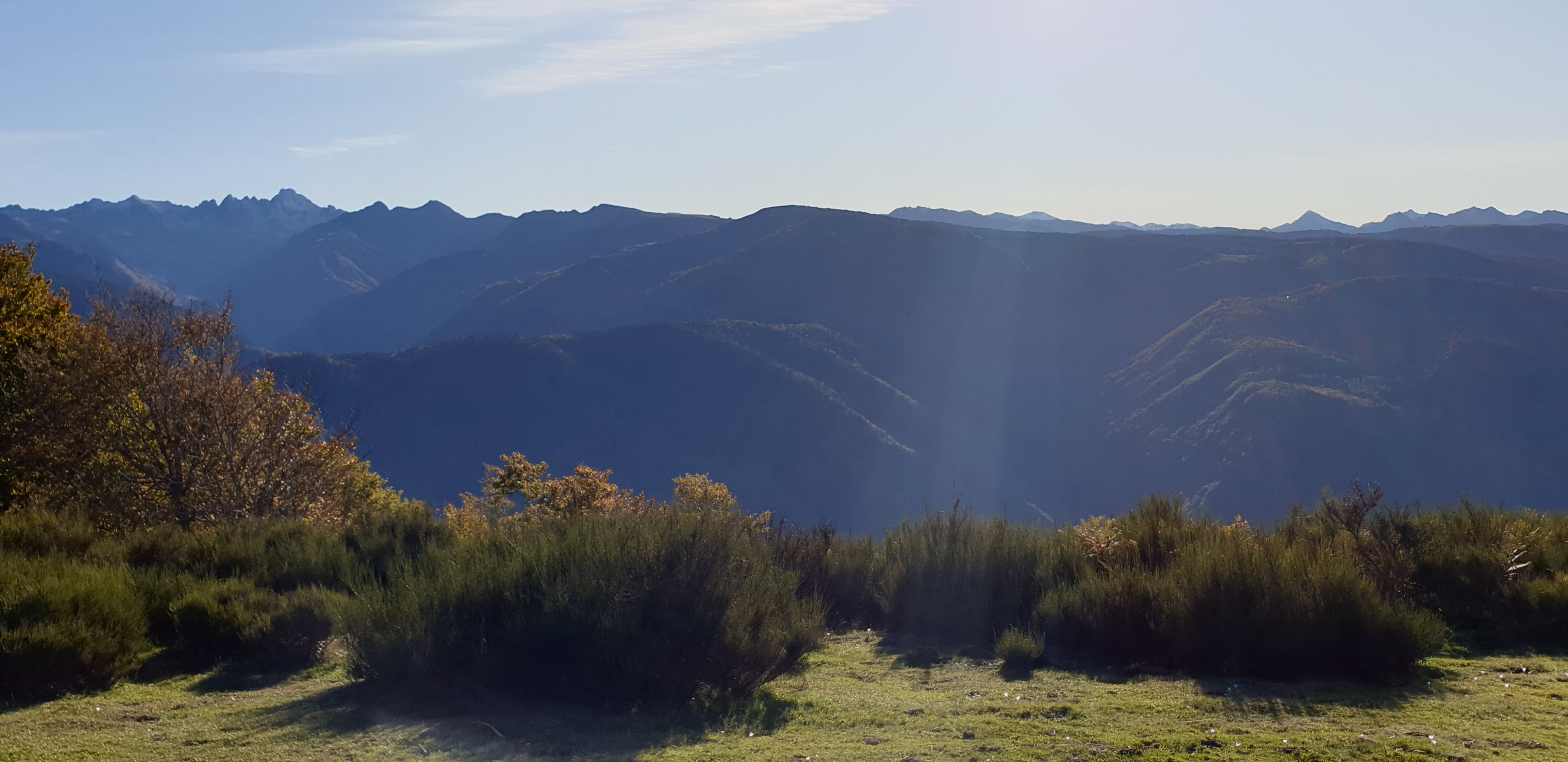 Photo n° 15 de l'avis de Jul. fait le 03/12/2019 à 22:53
