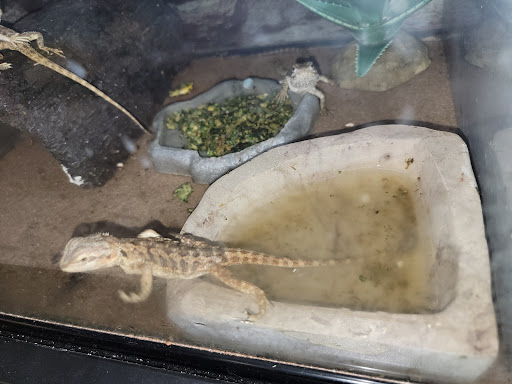 Pet Supply Store «Petco Animal Supplies», reviews and photos, 92 Cluff Crossing Rd, Salem, NH 03079, USA