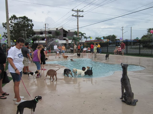 Veterinarian «PetCoral Resort and Veterinary», reviews and photos, 924 Del Prado Blvd, Cape Coral, FL 33990, USA