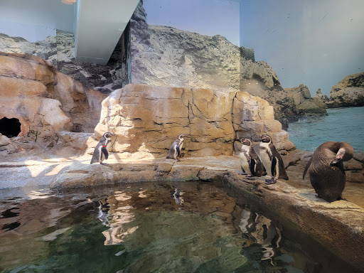 Aquarium «Aquarium of Niagara», reviews and photos, 701 Whirlpool St, Niagara Falls, NY 14301, USA