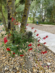 Photo n°45 de Chez Nonette à Saint-Ciers-du-Taillon ()