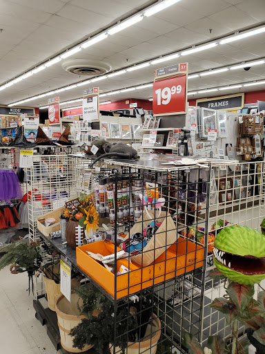 Craft Store «Michaels», reviews and photos, 2564 W Brandon Blvd, Brandon, FL 33511, USA