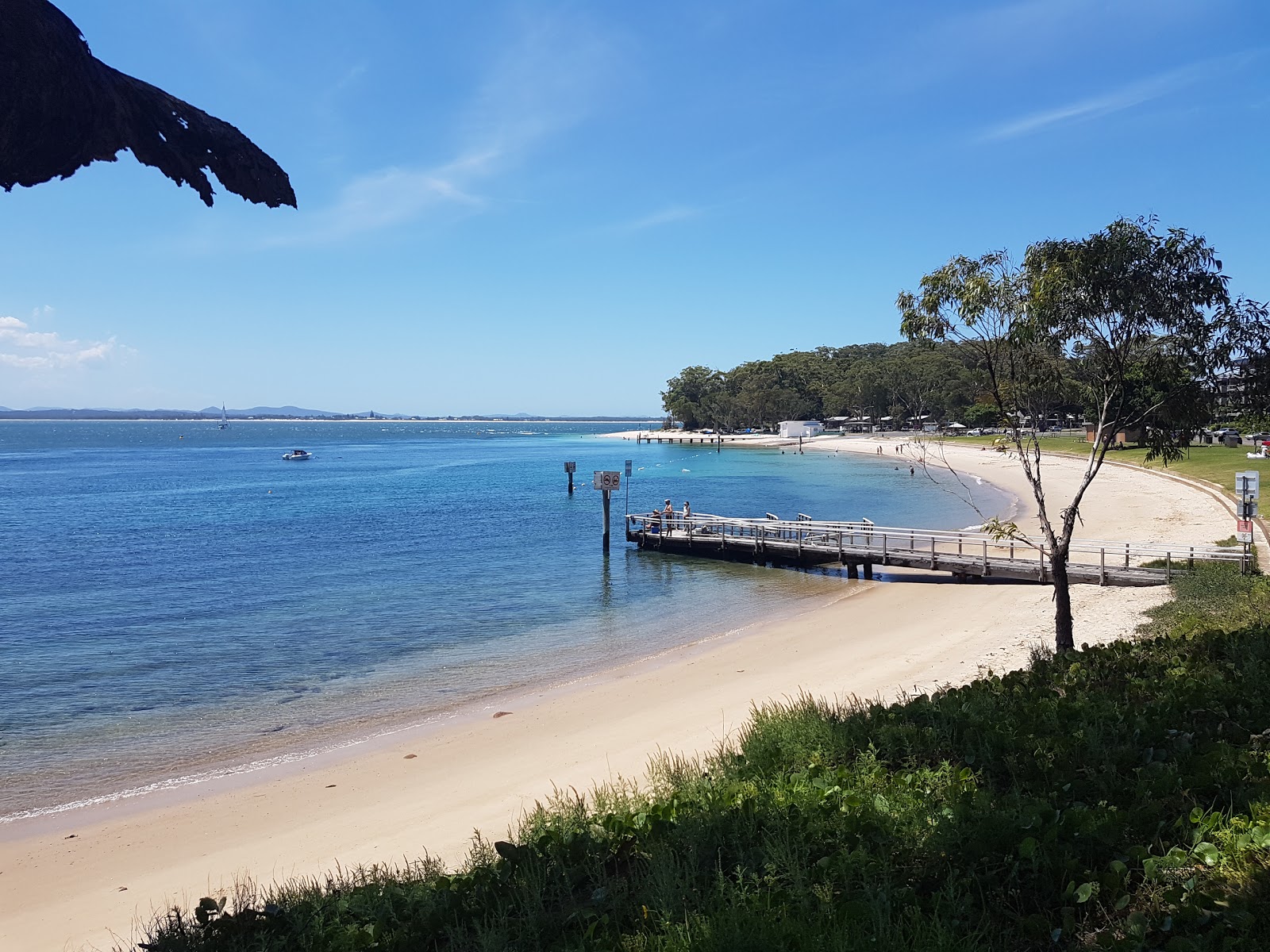 Little Beach Nelson Bay photo #6