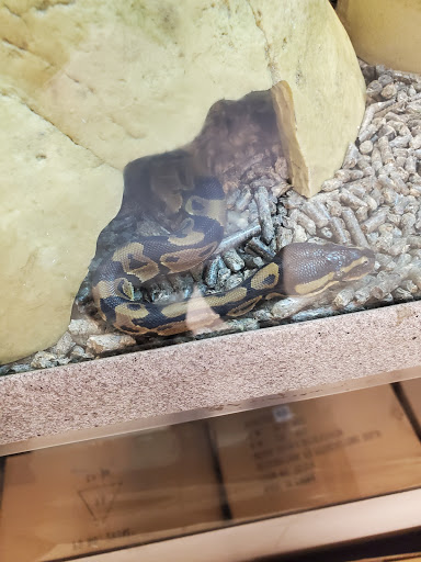 Tropical Fish Store «Monfort Aquarium & Pet», reviews and photos, 6520 Colerain Ave, Cincinnati, OH 45239, USA