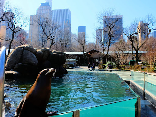 Zoo «Central Park Zoo», reviews and photos, E 64th St & 5th Ave, New York, NY 10021, USA