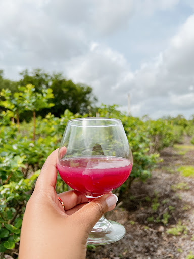 Winery «Keel and Curley Winery», reviews and photos, 5210 Thonotosassa Rd, Plant City, FL 33565, USA