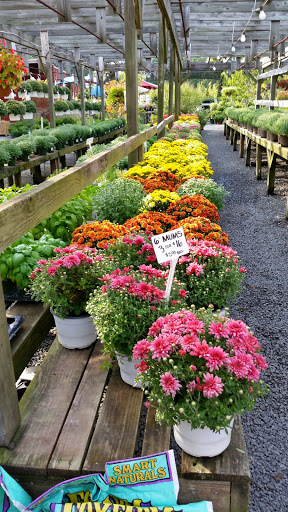 Garden Center «Nalls Produce», reviews and photos, 7310 Beulah St, Alexandria, VA 22315, USA