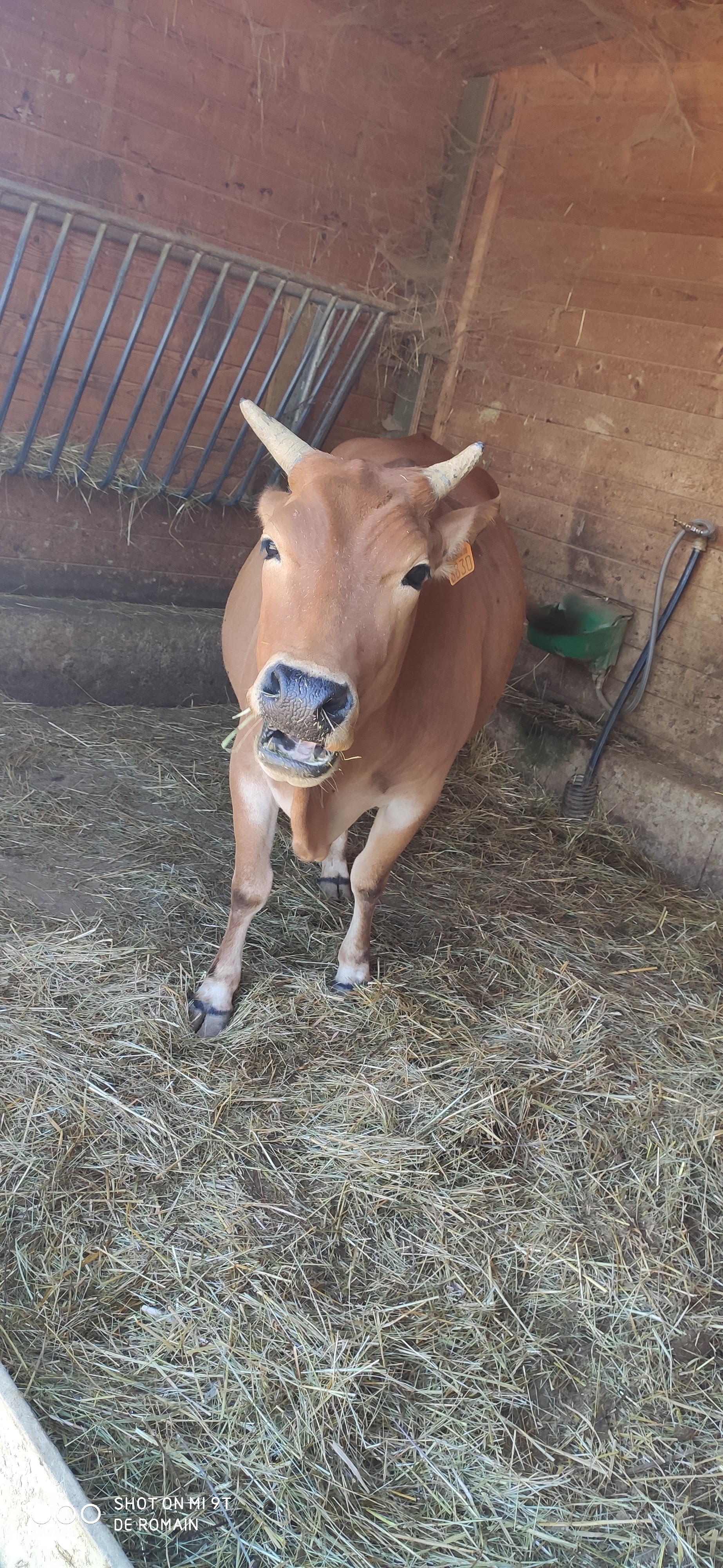 Photo n° 4 de l'avis de Romain.o fait le 12/07/2020 à 18:05