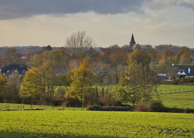 Kvv Vlaamse Ardennen