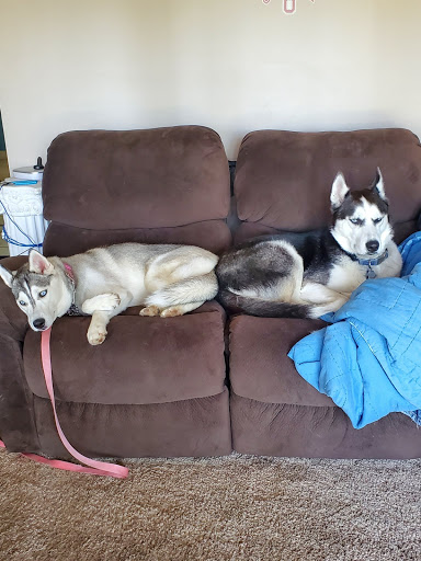 5387 Mayfield Rd, Cleveland, OH 44124, USA