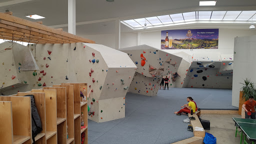 Climbing lessons Mannheim