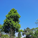 Photo n°12 de l'avis de Carmen.e fait le 14/08/2021 à 20:35 sur le  Blumencafe à Freiburg im Breisgau