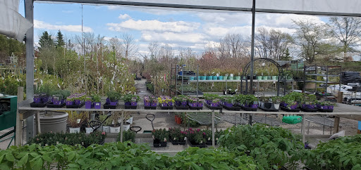Garden Center «Royal Victorian Garden Center», reviews and photos, 10911 State Rd, Cleveland, OH 44133, USA