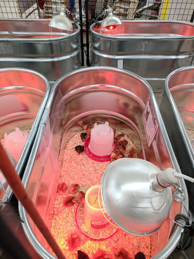 Home Improvement Store «Tractor Supply Co.», reviews and photos, 6015 S Transit Rd, Lockport, NY 14094, USA