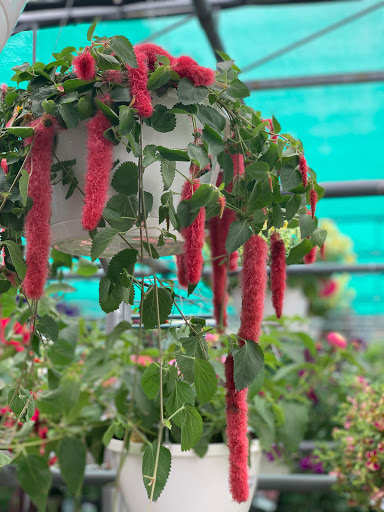 Hardware Store «La Grange Pk Ace Hardware Inc», reviews and photos, 900 E 31st St, La Grange Park, IL 60526, USA