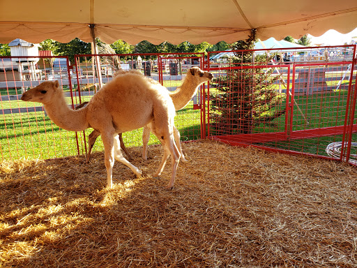 Produce Market «Didier Farms», reviews and photos, 16678 Aptakisic Rd, Lincolnshire, IL 60069, USA
