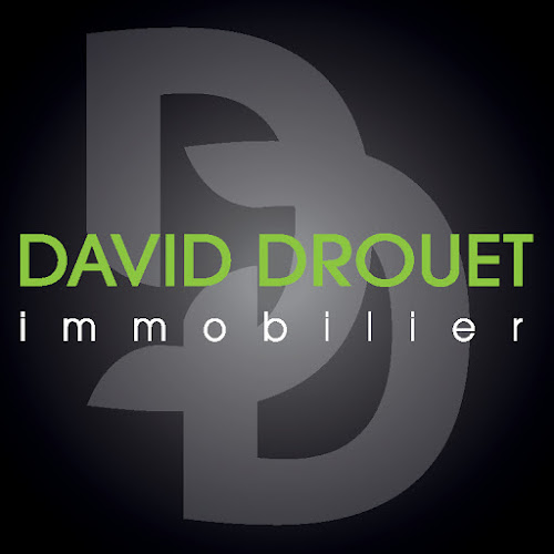 David Drouet Immobilier à Rouen