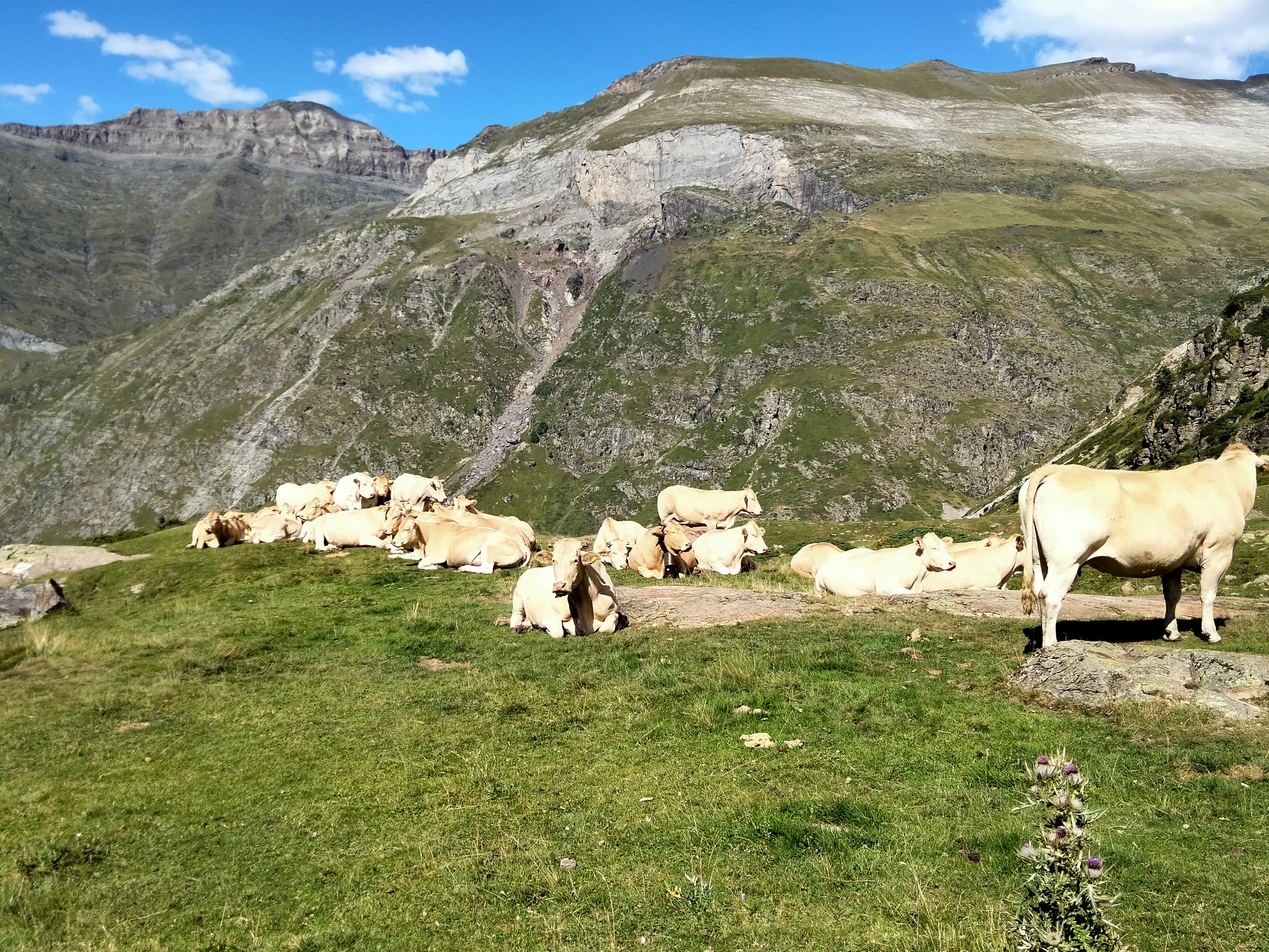 Photo n° 5 de l'avis de Didier.g fait le 29/08/2021 à 18:28
