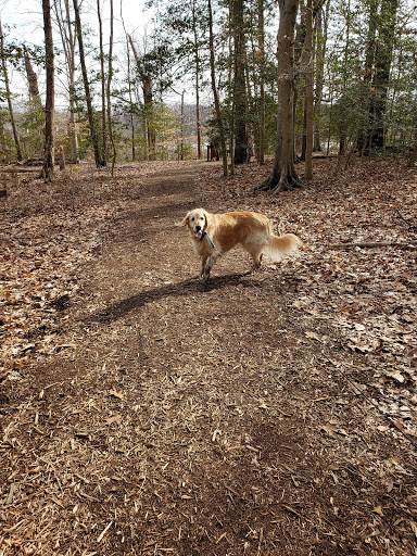 Park «Government Island», reviews and photos, 191 Coal Landing Road, Stafford, VA 22554, USA
