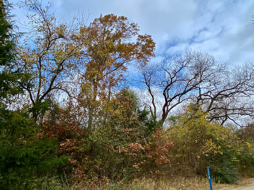 Park «Katherine Rose Memorial Park», reviews and photos, 303 N Walnut Creek Dr, Mansfield, TX 76063, USA