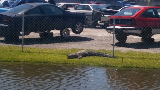 Used Auto Parts Store «All Pro Used Auto Parts», reviews and photos, 3599 Old Dixie Hwy, Auburndale, FL 33823, USA