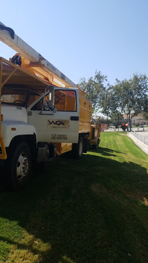 Book Store «Coyote Bookstore», reviews and photos, 6100 University Pkwy, San Bernardino, CA 92407, USA