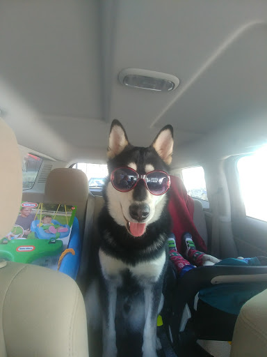 Department Store «Target», reviews and photos, 455 Carnegie Blvd, Malvern, PA 19355, USA