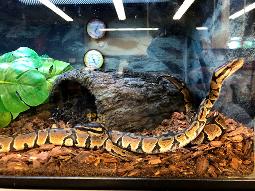 Pet Supply Store «Petco Animal Supplies», reviews and photos, 3637 2700 W, West Valley City, UT 84119, USA