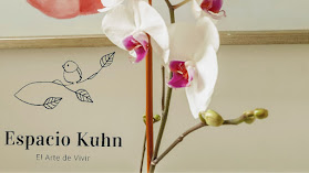 Espacio Kuhn Psicología-Yoga-Mindfulness