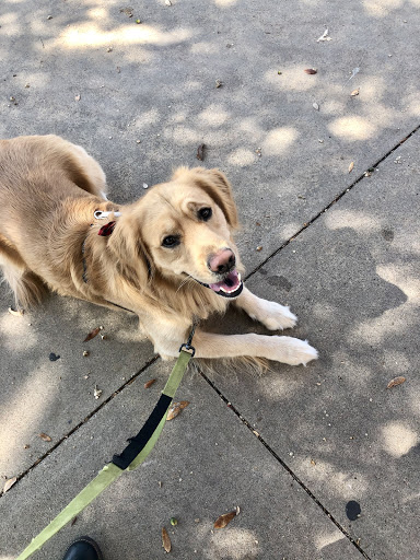 Pet Supply Store «Petco Animal Supplies», reviews and photos, 3055 N President George Bush Hwy, Garland, TX 75040, USA