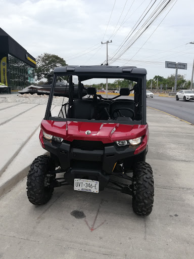 CAMPION DE MÉXICO BRP CANCUN