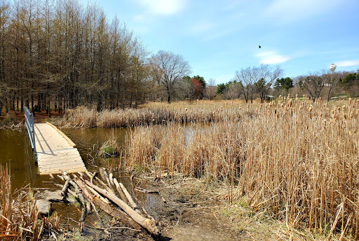 Non-Profit Organization «Aldo Leopold Nature Center», reviews and photos, 330 Femrite Dr, Madison, WI 53716, USA