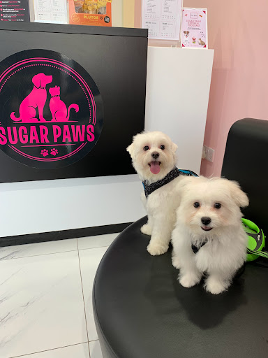 Sugar Paws Pet Salon L.L.C