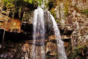 Melincourt Waterfalls image