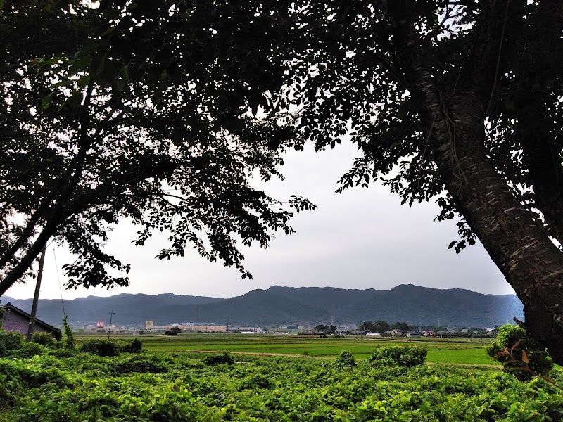 鹿西運送（株）