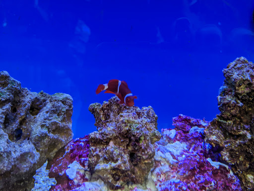 Pet Supply Store «Petco Animal Supplies», reviews and photos, 4540 Princess Anne Rd #128, Virginia Beach, VA 23462, USA