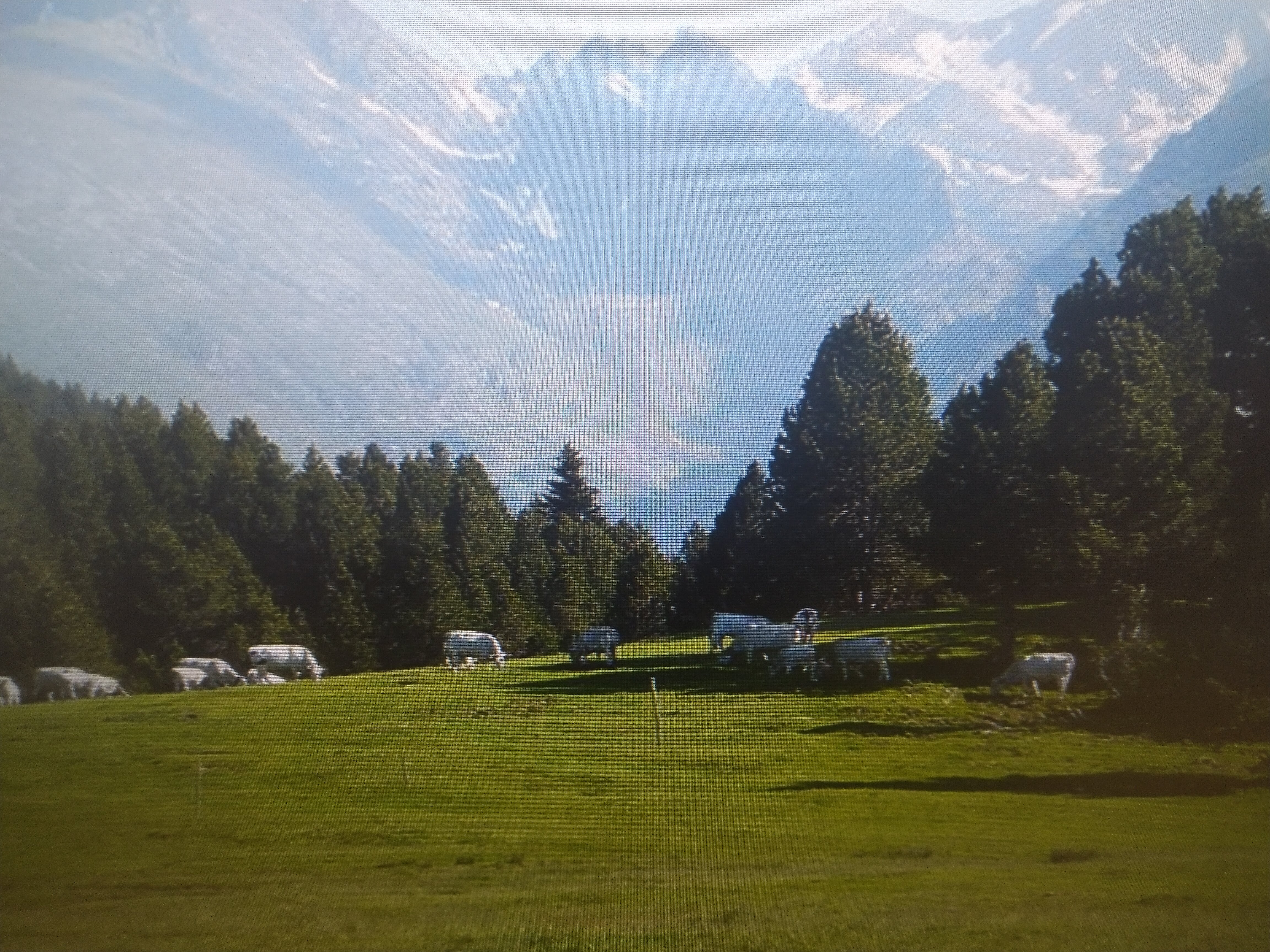 Photo n° 7 de l'avis de christophe.e fait le 24/06/2023 à 13:58