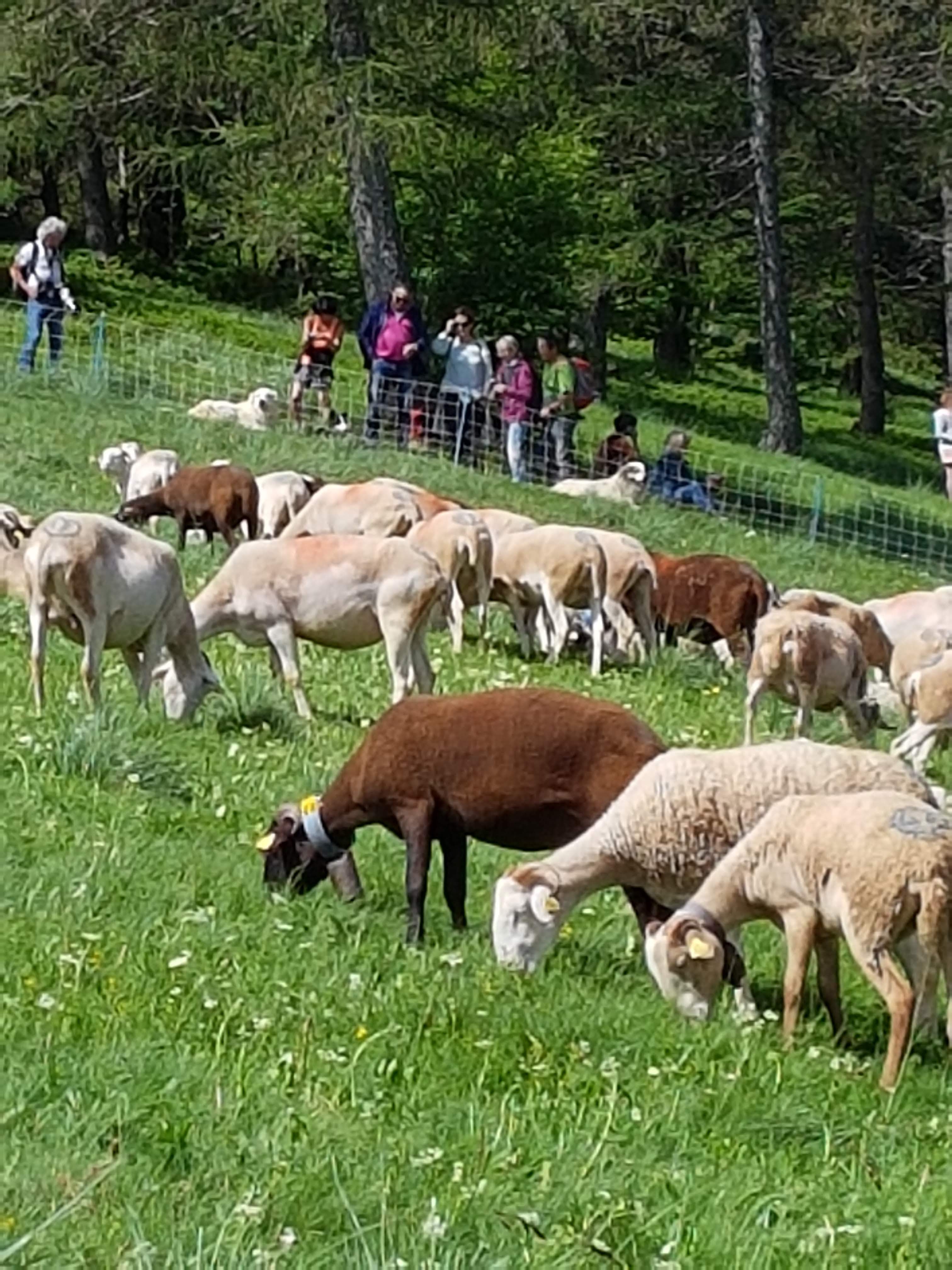 Photo n° 29 de l'avis de Valou.O fait le 11/08/2018 à 16:07