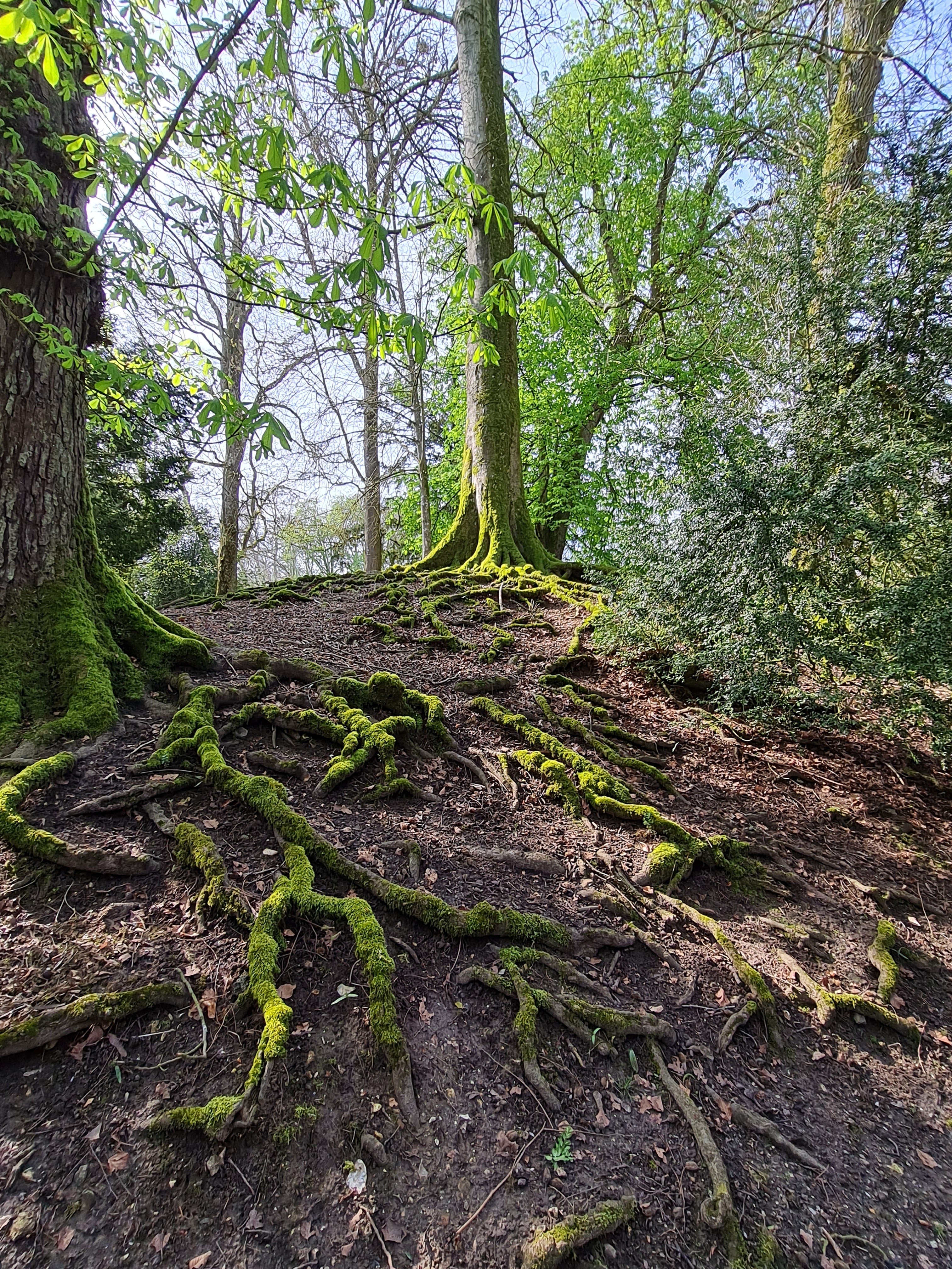 Photo n° 3 de l'avis de Stephanie.i fait le 07/05/2023 à 08:53