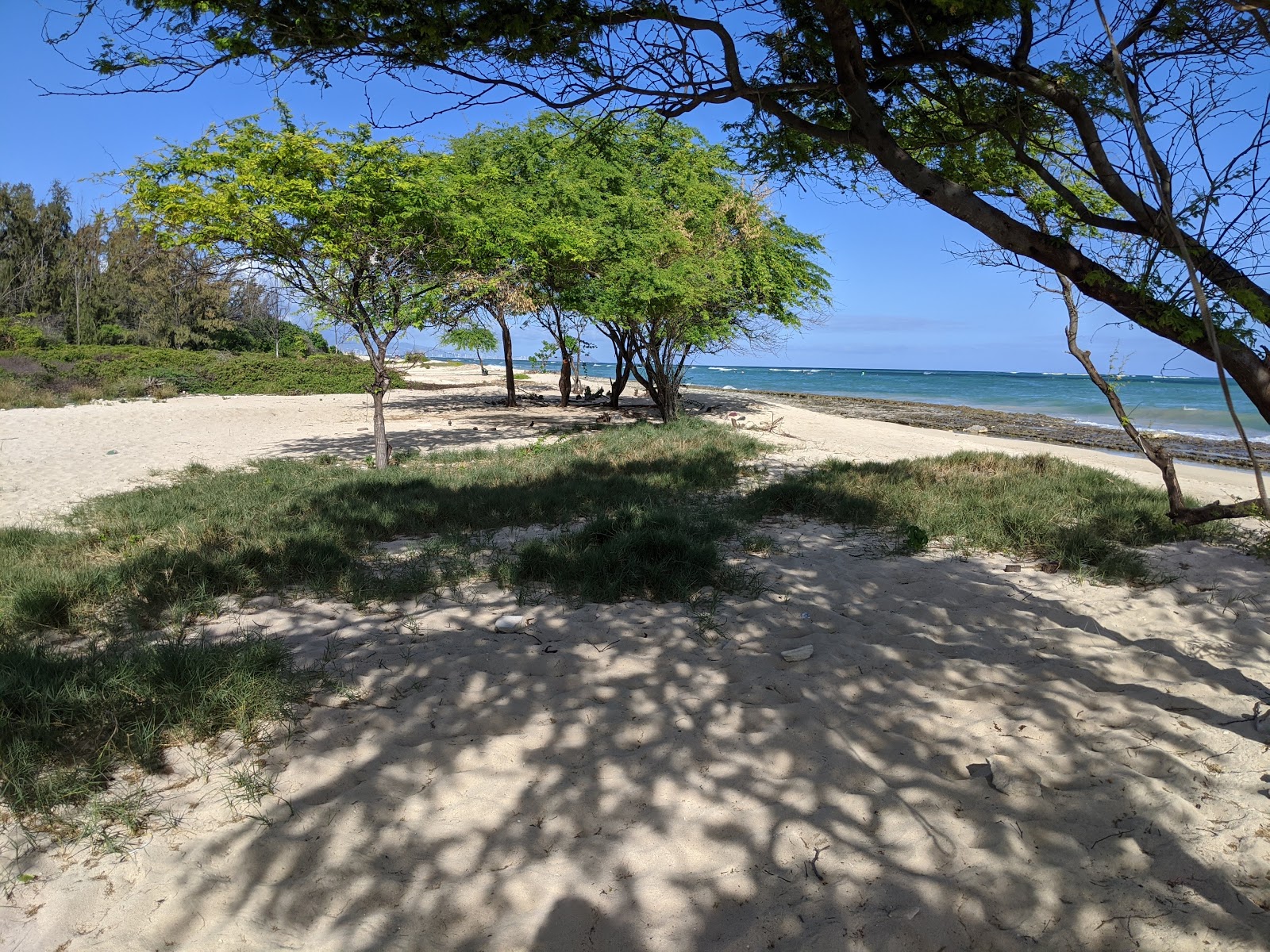 Foto von Nimitz Beach wilde gegend