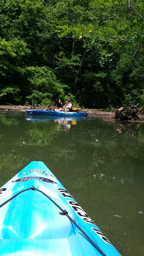 RV Park «Made In the Shade RV Park», reviews and photos, 6878 Granville Hwy, Granville, TN 38564, USA