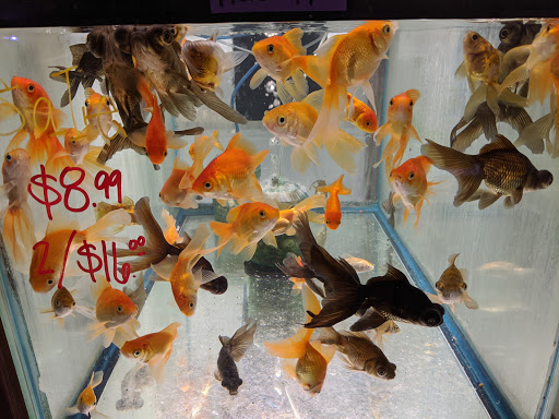 Pet Store «Forest Lake Pets», reviews and photos, 120 Lake St N, Forest Lake, MN 55025, USA