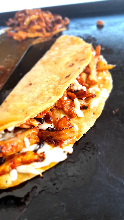 Tacos&Quesadillas el panzon